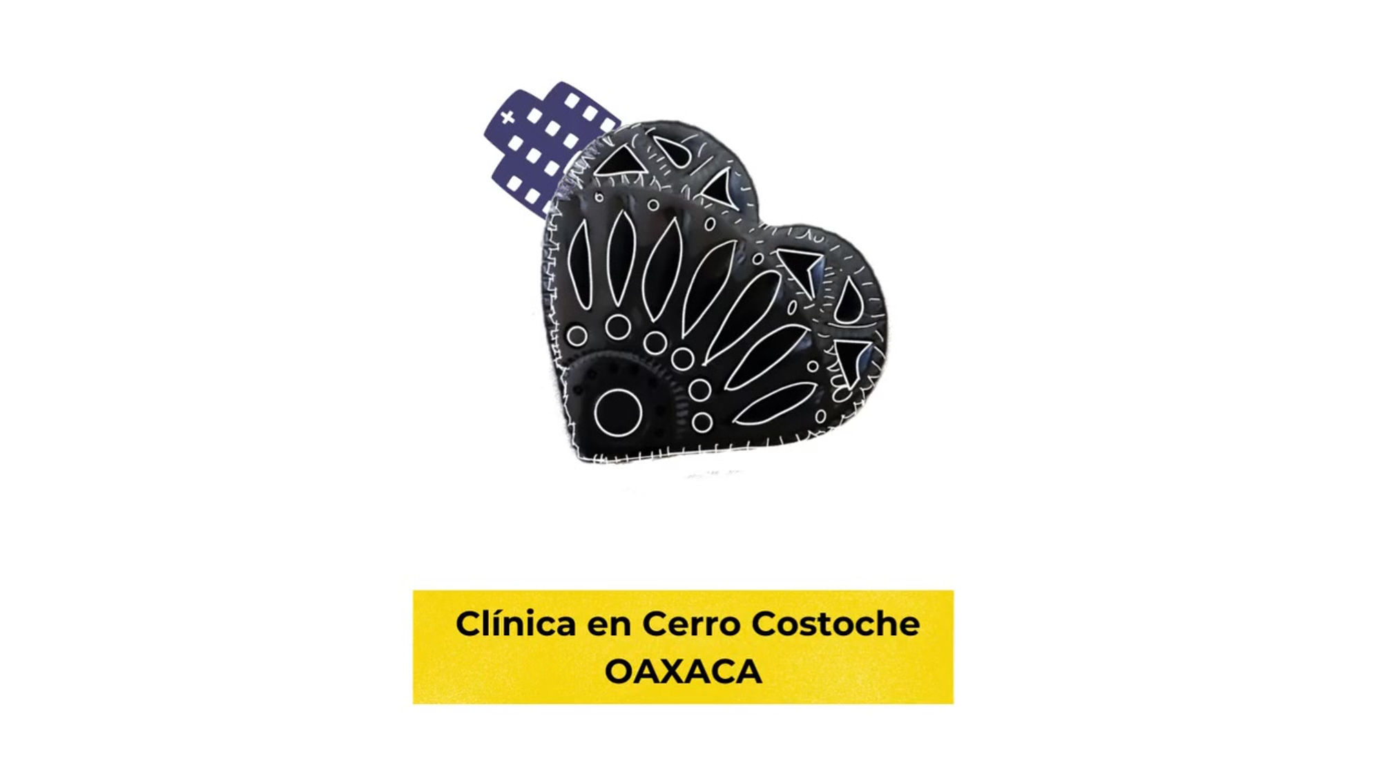 Voluntariado en clínica Comunitaria en Cerro Costoche, Oaxaca